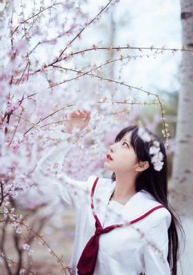 秋霞在线理论